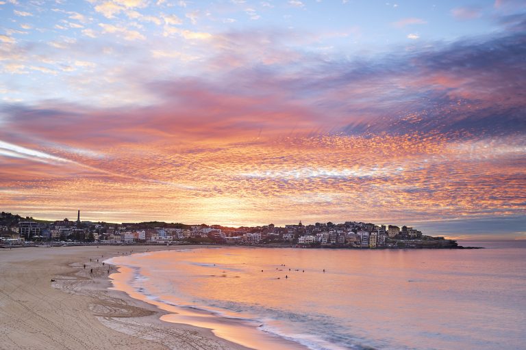 Shepherds Warning Bondi Beach cf007044