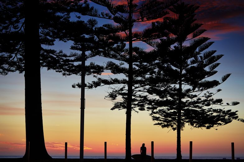 Manly Pine Sunrise Aquabumps 5o0a9447