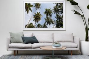 Frame Shadow Box | White 167cm x 118cm | $2,235