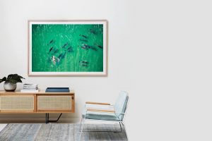 Frame Shadow Box | Raw 167cm x 118cm | $2,050