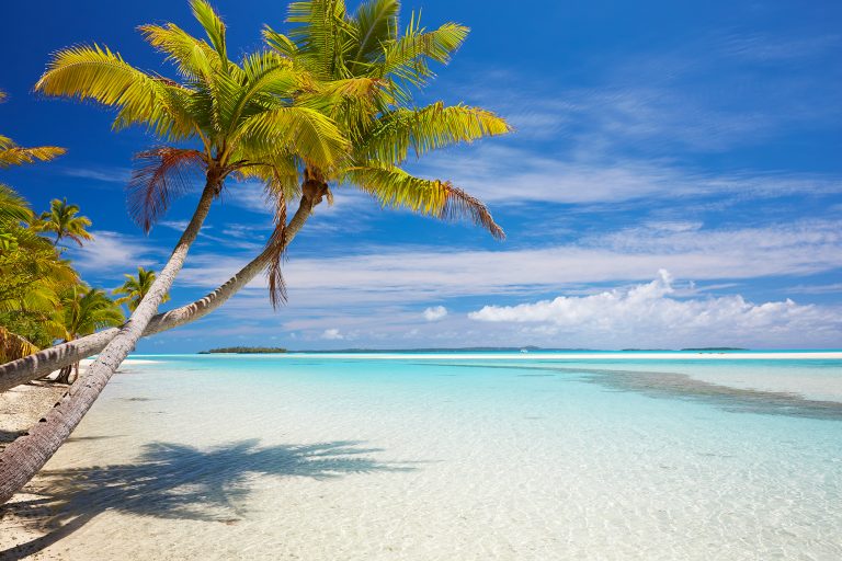 Shop Cook Islands Prints - Aquabumps