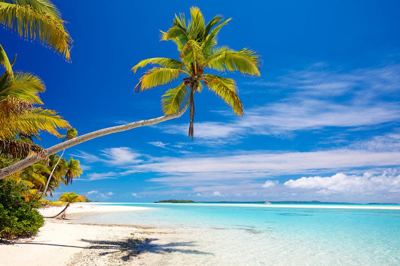 Shop Cook Islands Prints - Aquabumps