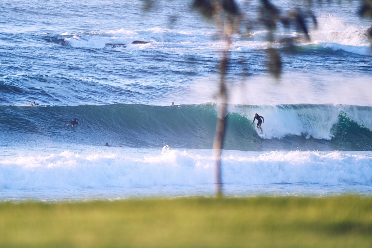 Tyson Millar, our gallery manager testing the waters