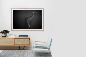 Frame Shadow Box | Raw 167cm x 118cm | €2,080