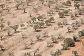 Mallorca and Ibiza are dry like a desert