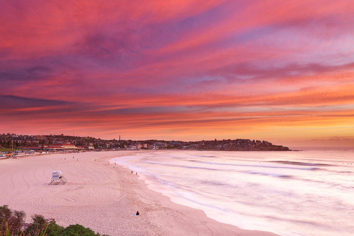 Festive Bloom, Bondi Beach 18th Dec 2021