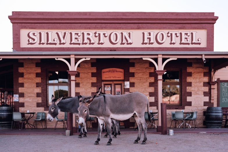 Hotel Bouncers, Silverton