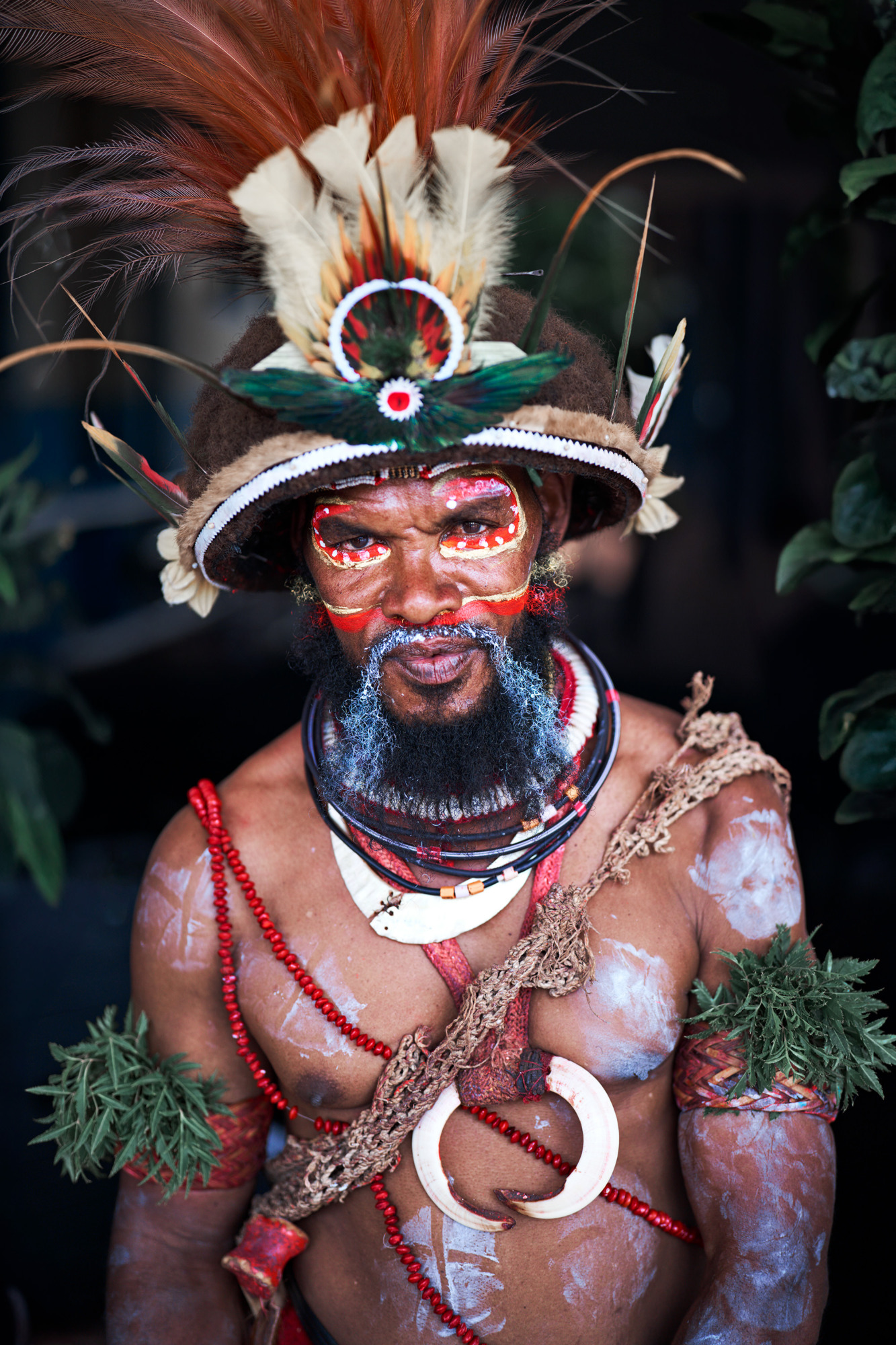 Tribesman, Papua New Guinea