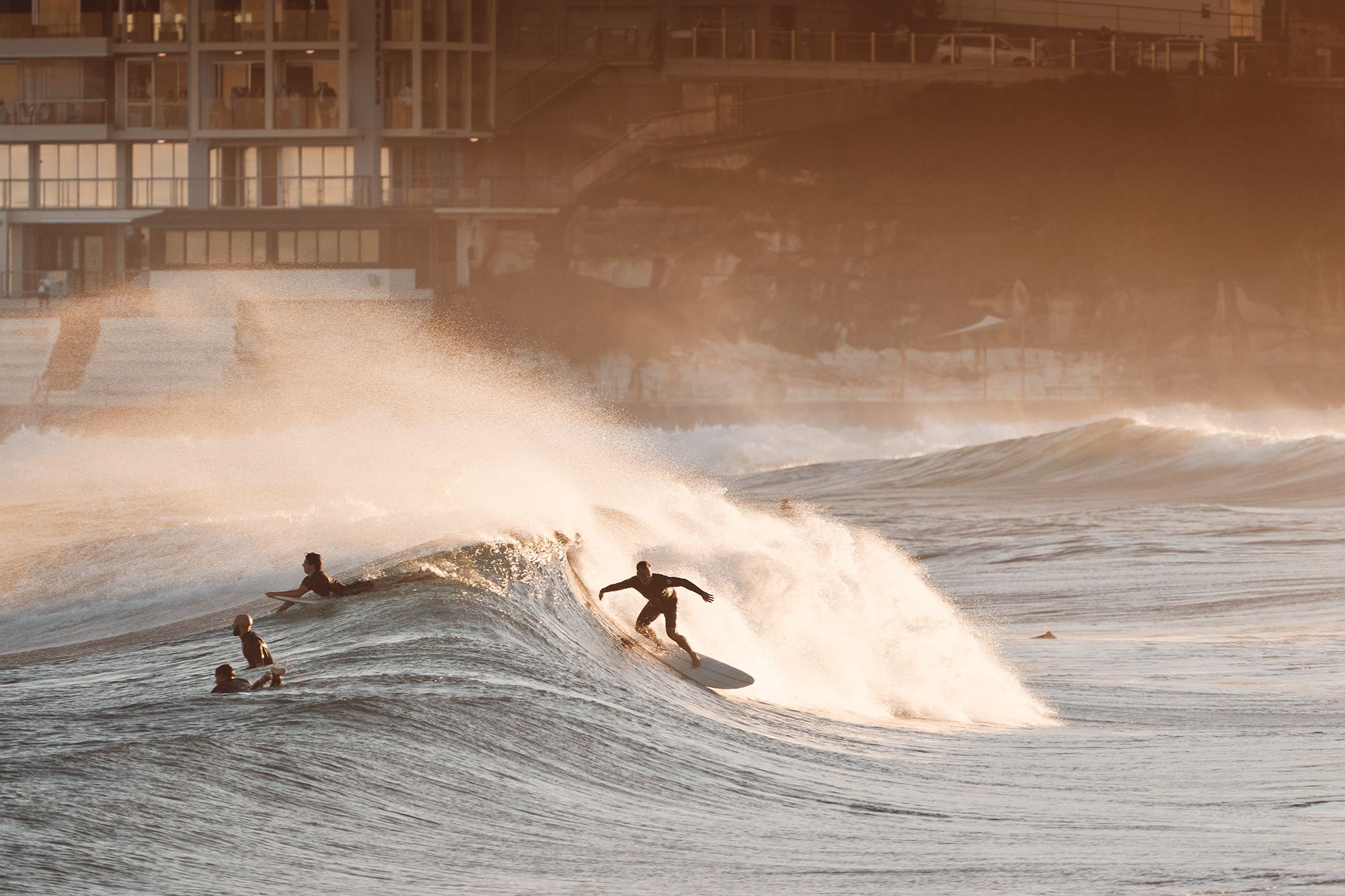 Wildman, Bondi