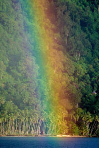 Jungle rainbows