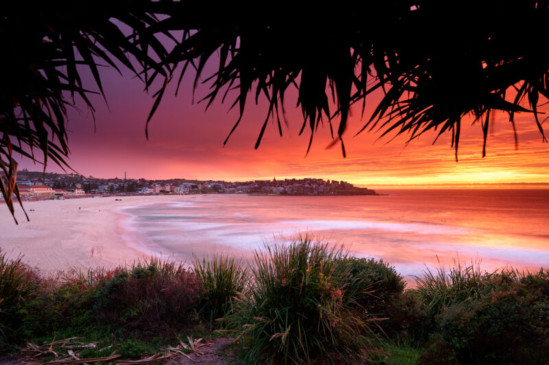 Bondi 6am, wow, what a colour blaze