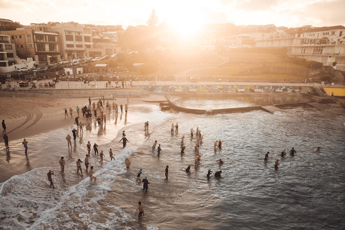 Salties bathing in golden morning light, Bondi 6:40am