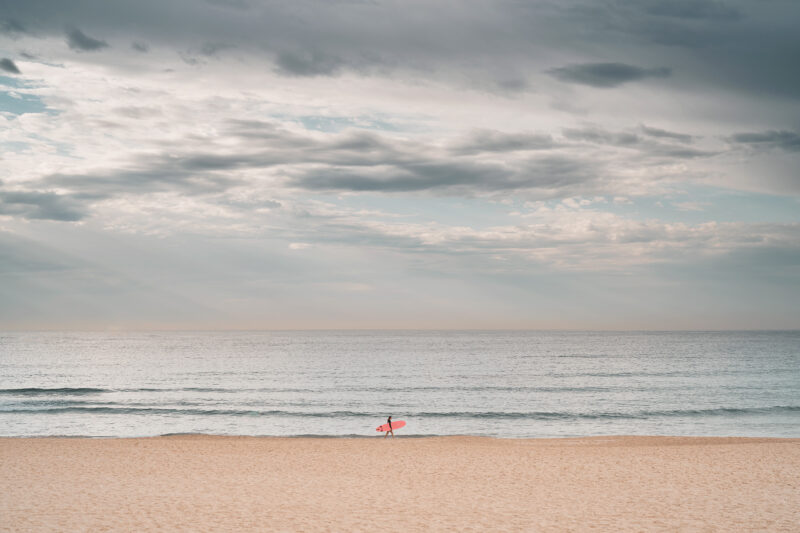 The search, Bondi