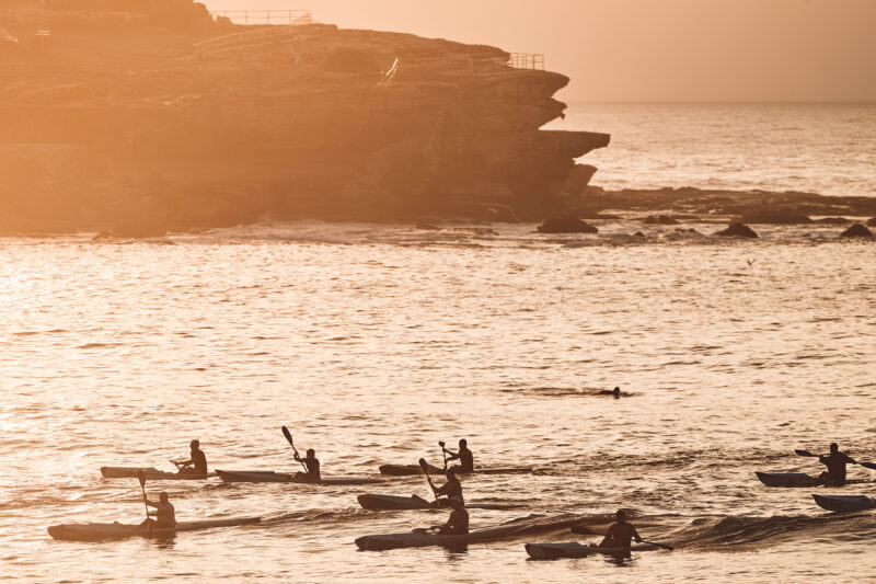 Golden rayz and paddlers delight, North Bondi