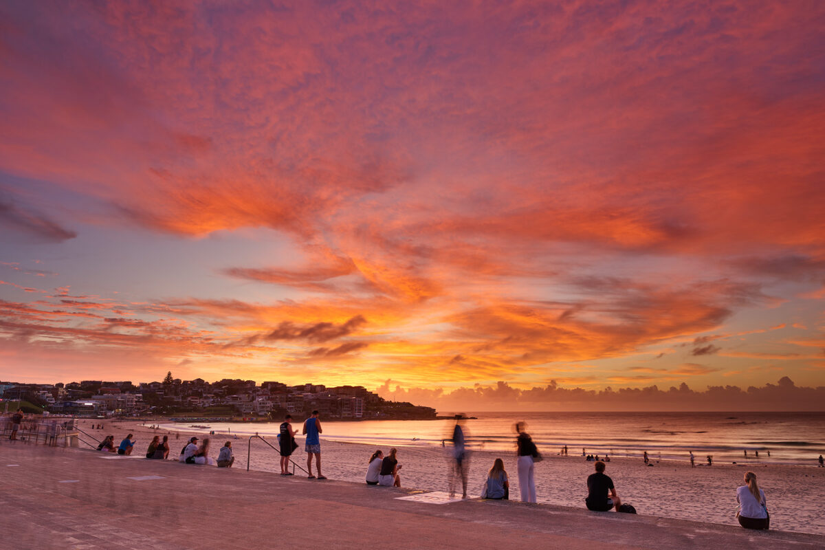 Bondi Awakens! 6:00am today