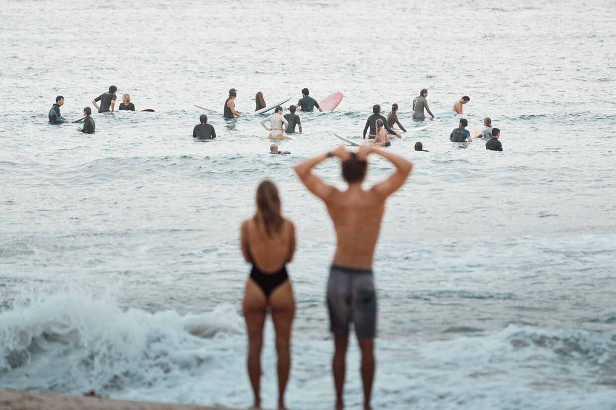 Hungry pack out the back, Bondi