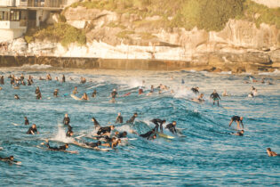 Party waves all day long, Bondi 7:30am