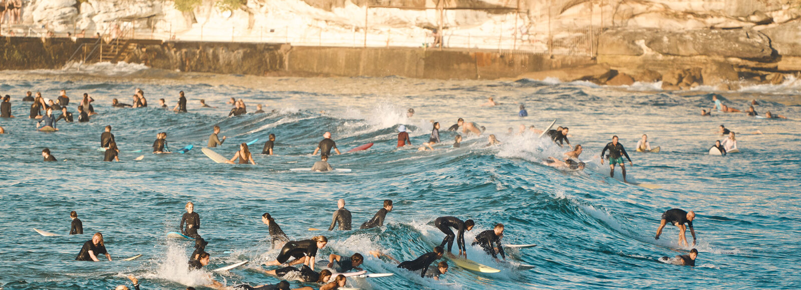 Party waves all day long, Bondi 7:30am